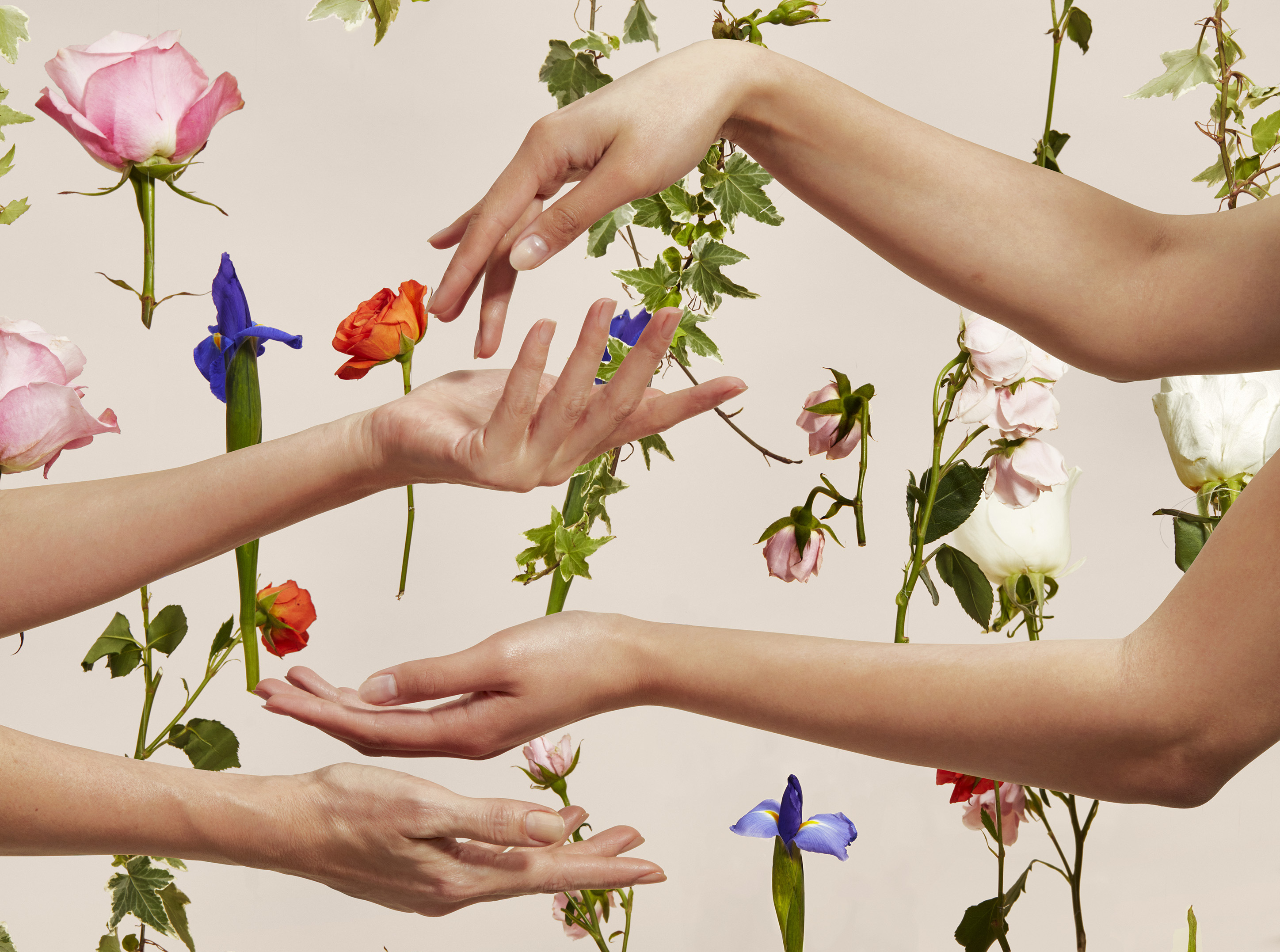 hands in front of a flower background