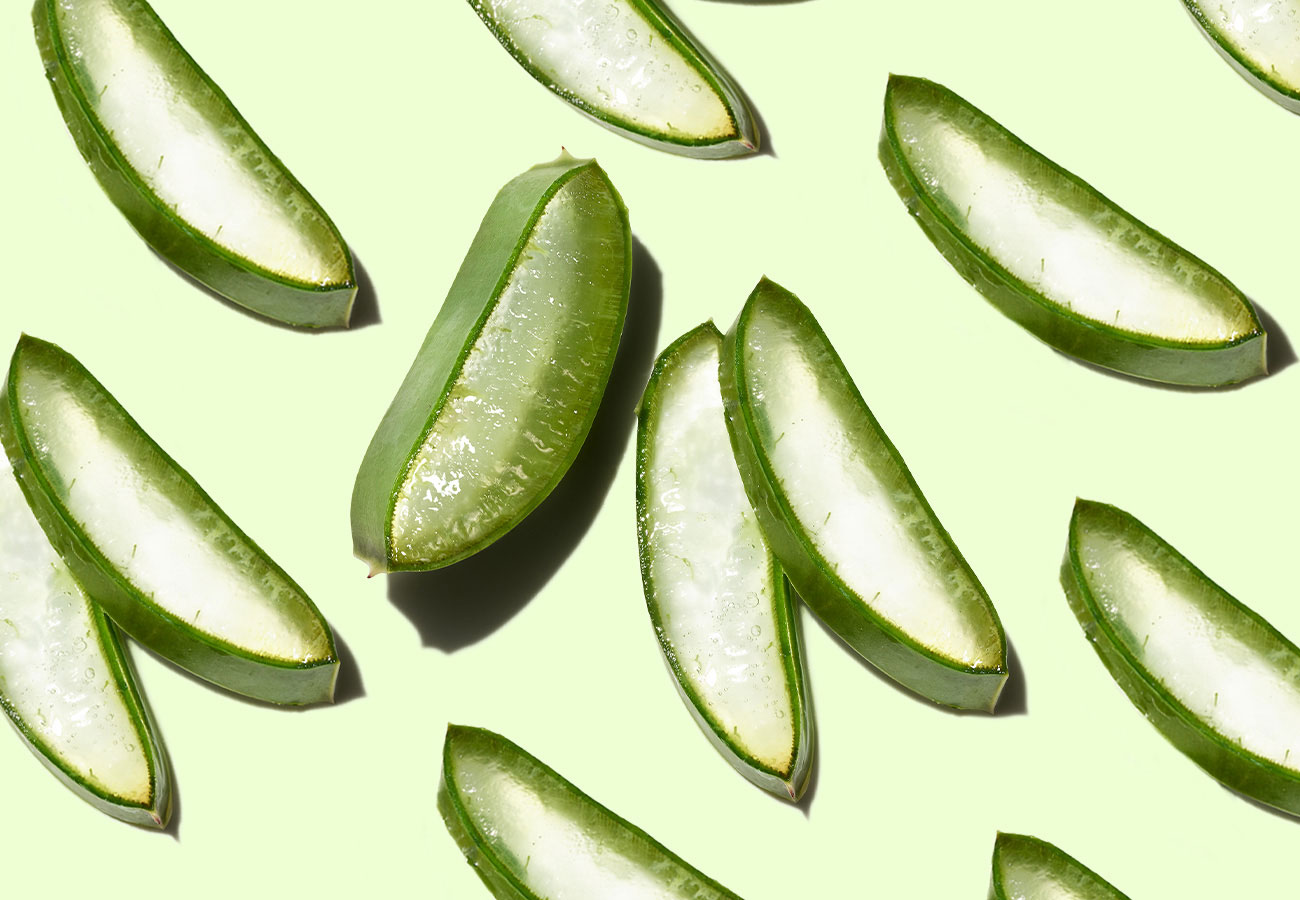 The Benefits of Aloe Vera Juice for Hair | At Length by Prose Hair
